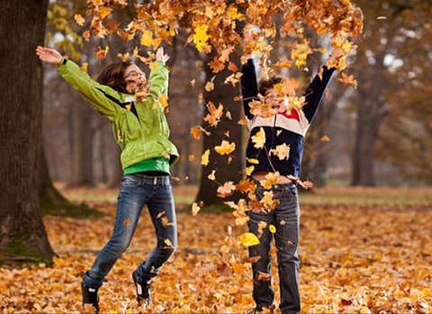 Осенние каникулы в школах Узбекистана начнутся 4 ноября