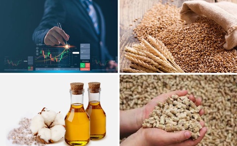 На Узбекской республиканской товарно-сырьевой бирже снизились цены на пшеницу, хлопковое масло и шрот