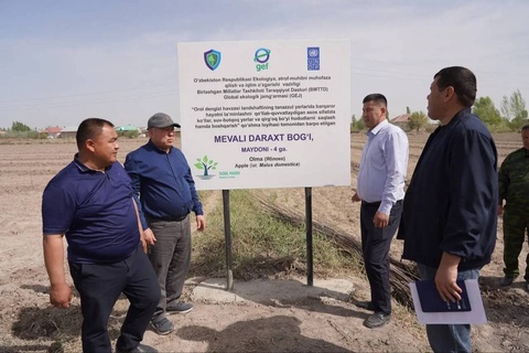 Более 3000 саженцев деревьев переданы для озеленения региона Приаралья