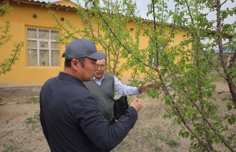 Алтынкөлде бағ жаратылды