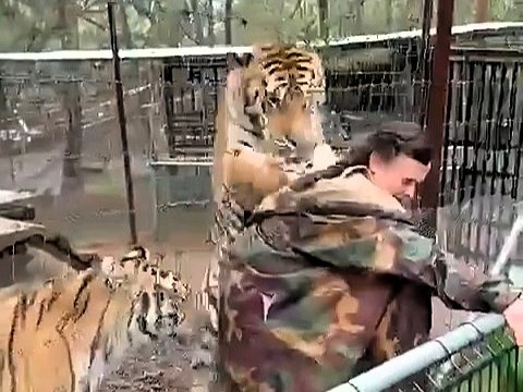 Meksika hayvonot bog'ida yo'lbars veterinarga hujum qildi