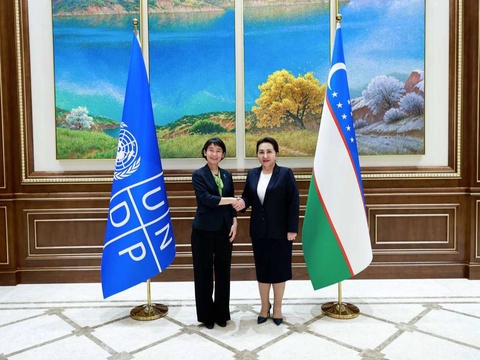 Біріккен Ұлттар Ұйымының Даму бағдарламасымен ынтымақтастық байланыстар кеңейтіледі