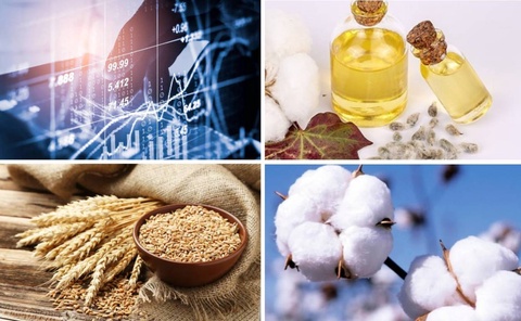На Узбекской республиканской товарно-сырьевой бирже снизились цены на хлопковое масло, пшеницу и хлопковое волокно