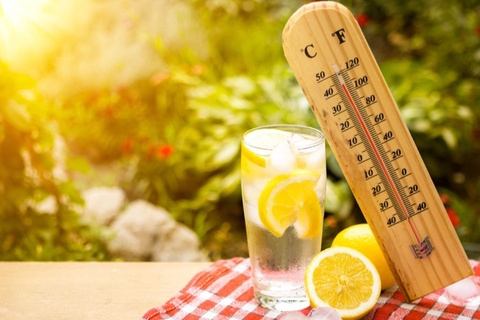 Issiq kunlarda qanday taomlanish zarur?