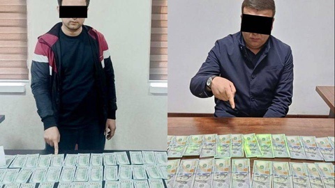 В Навоийской и Кашкадарьинской областях пресечены факты незаконной отправки граждан на работу за границу