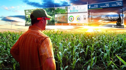 Uzbek-Mongolian agreements: a large-scale program in the agricultural sector