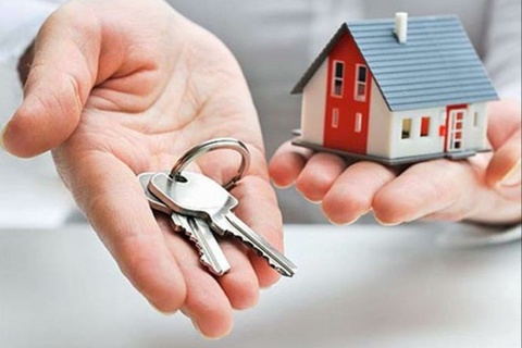 Ўзбекистонда 8 ойда ижара хизматлари қанчага ошгани маълум бўлди