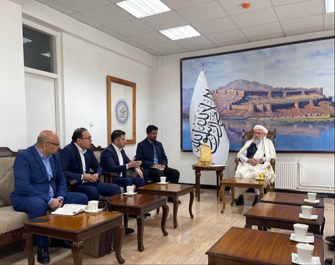 Узбекистан и Афганистан намерены довести торговлю фармацевтической продукцией до 500 млн долларов