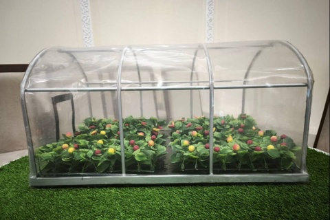 Haroratni moʻtadillashtiruvchi “aqlli” plyonka ishlab chiqarish yoʻlga qoʻyiladi