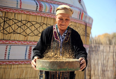 В Каракалпакстане внедряется водосберегающее выращивание сухого риса