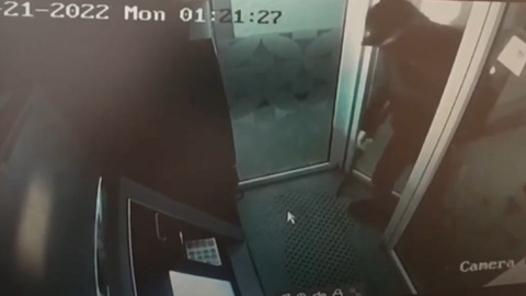 Sirdaryoda bankomatdan pul oʻgʻirlagan talabalar qamaldi