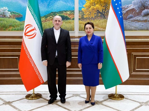 Сенат Төрайымы Иран Ислам Республикасының еліміздегі Елшісін қабылдады