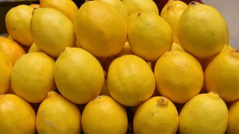 Ширкати ӯзбекистонӣ имкони содироти лимонро ба кишварҳои Бенилюкс  меомӯзад