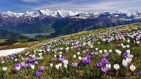 В Узбекистане после похолодания и осадков температура к концу недели поднимется до +15 градусов