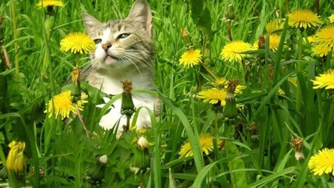 Прогноз погоды на день 24 апреля