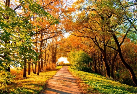 Weather forecast for October 29th