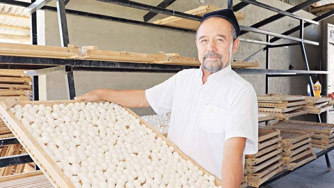 Семейный бизнес - гарантия успеха