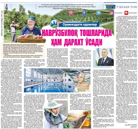 Navro‘zbuloq toshlarida ham daraxt o‘sadi