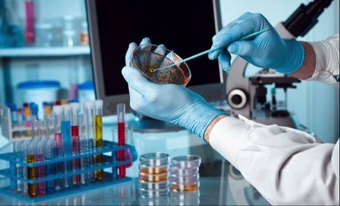 WHO: cholera deaths are on the rise worldwide