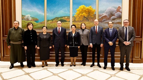 Сенат Төрайымы бірқатар елдердің омбудсмандарымен кездесті