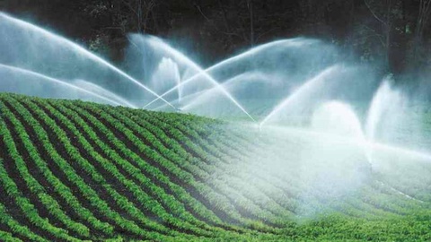 Suv kam, ehtiyoj koʻp bunday sharoitda qanday yoʻl tutmoq kerak?