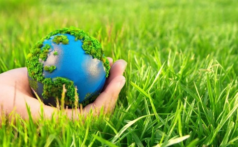 Ekologik madaniyat: muammolar yechimi erta ta’limdan boshlanadi