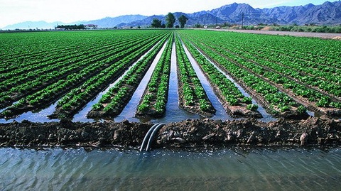 Issues of attracting advanced technologies to the field of effective water resources management discussed in Washington