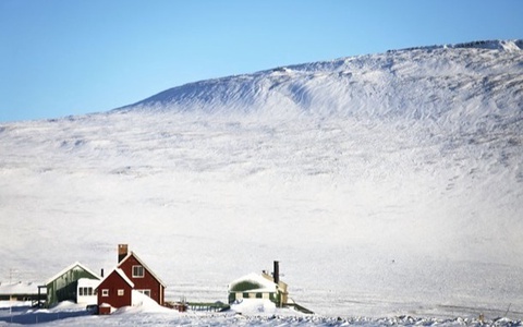 АҚШ, Дания ва Гренландия Трампнинг талаблари бўйича музокараларни бошлади