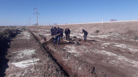 Үлкен жолдың еки бойы жасыл мәканға айланбақта