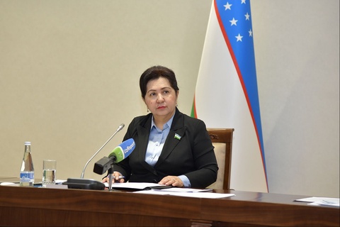 Gaz, elektr energiyasi va ko'mir bilan ta'minlash masalasi Senat nazoratida bo'ladi