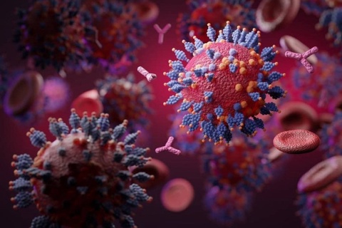 Yevropa va Amerikada koronavirusning yangi turi tarqalmoqda