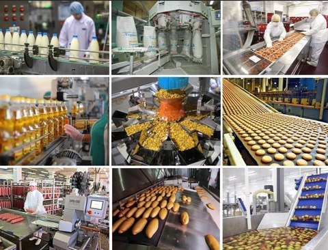 Какие регионы Узбекистана лидируют по производству пищевой продукции?