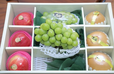 Koreya Respublikasi hamkorligida Oʻzbekistonda uzumning yangi navi yetishtiriladi