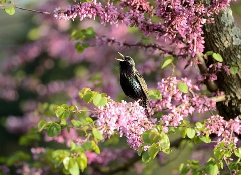 Прогноз погоды на день 12 апреля