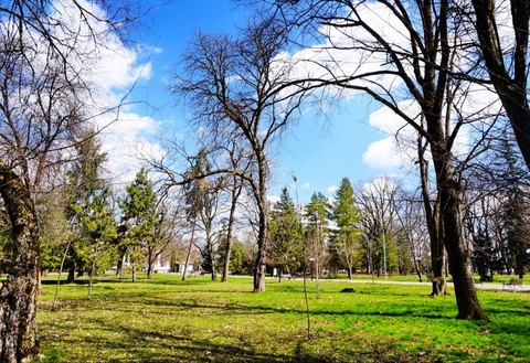 Прогноз погоды на день 19 февраля