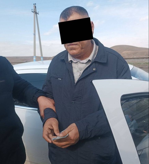 В Сурхандарье глава районного отдела экологии требовал взятку за изменение акта о вырубке деревьев