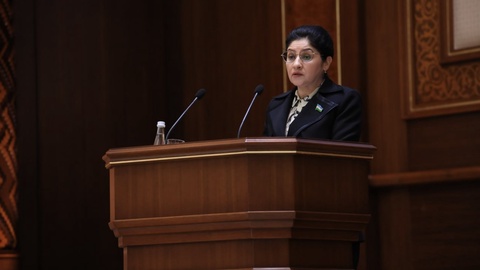 Некені тіркеу мерзімін өзгерту терең талдауға негізделуі қажет