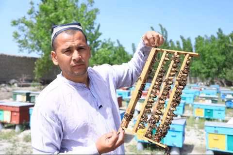 Ёзёвонлик тадбиркор ари оилаларини Россия ва Қозоғистонга экспорт қилишни бошлади