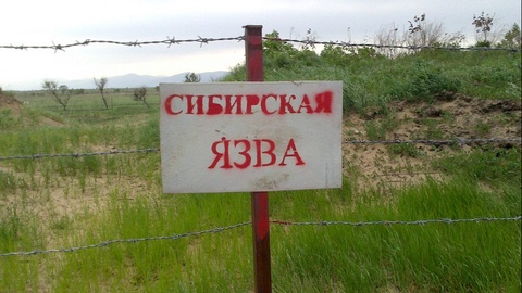 Qozogʻistonda kuydirgi tarqaldi. Ikki qishloq karantinga olindi