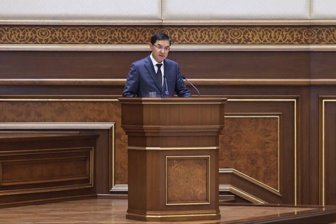 Сенат 2025 жылға арналған Мемлекеттік бюджет туралы заңды мақұлдады