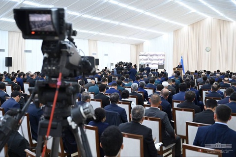 Sharof Rashidov va Zarbdor tumanida bittadan yirik chorvachilik klasteri faoliyati yoʻlga qoʻyiladi