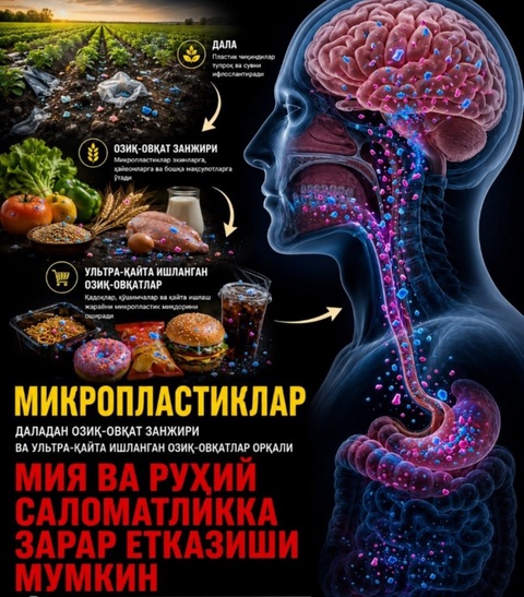 Кўзга кўринмас хавф: микропластик ва бизнинг даламиз