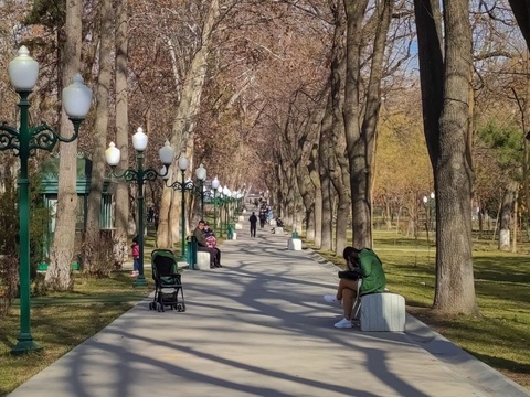 В течение недели в Узбекистане осадков не ожидается