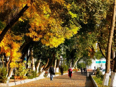 Weather forecast for October 30th