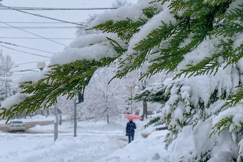 В Узбекистане в конце января ожидается похолодание до 25 градусов мороза