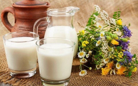 Олимони Ӯзбекистон барои пешгирии коронавирус шир офариданд