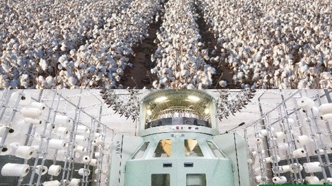 Қашқадарёда икки кластер асоссиз даромад қилгани учун жавобгарликка тортилди