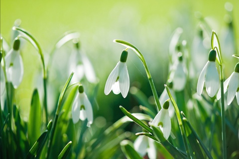 Дам олиш кунлари ҳаво бироз салқинроқ бўлади