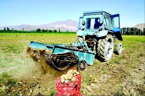 Селекция — озиқ-овқат хавфсизлигида муҳим йўналиш