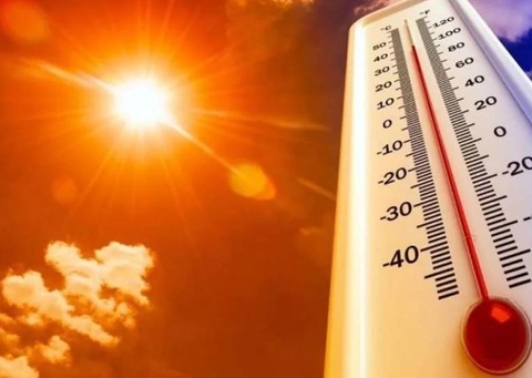 В Узбекистане на этой неделе ожидается жара до +42 градусов